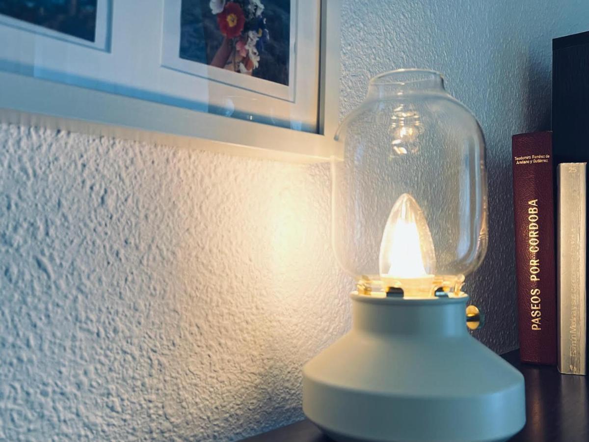 Apartamento Pintor Palomino กอร์โดบา ภายนอก รูปภาพ